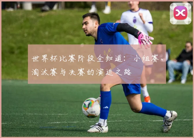 世界杯比赛阶段全知道：小组赛、淘汰赛与决赛的演进之路