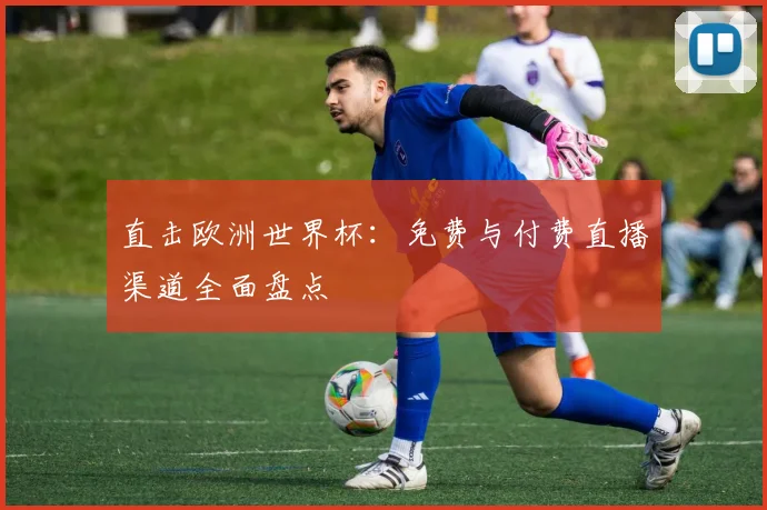 直击欧洲世界杯：免费与付费直播渠道全面盘点