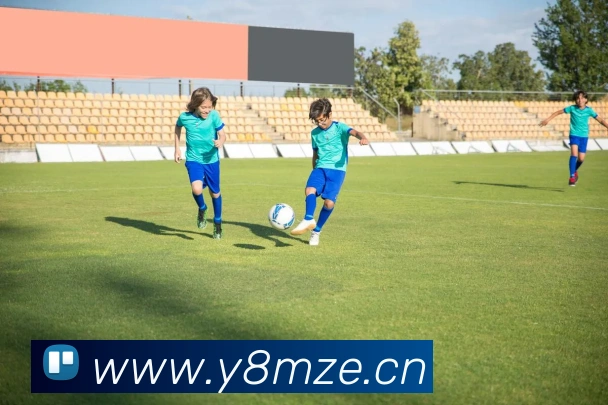 华体会体育官网app网球直播平台生态图